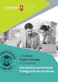 Les salariés en contrat de professionnalisation au sein d'un cabinet d'expertise comptable, bénéficient de salaires plus la même aide est donc accordée aux contrats de professionnalisation conclus jusqu'à la fin de l'année 2021. Telechargez Nos Plaquettes 2018 2019 Cfa Epure