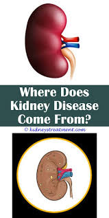 Kidney Disease Awareness Invisible Illness Kidney Disease Polycystic Kidney Disease Kidney Disease Diet