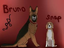 HAZEL DOBSON (hdobson446)