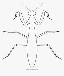 598x700 grasshopper coloring page free download best grasshopper free. Praying Mantis Coloring Page Grasshopper Hd Png Download Kindpng