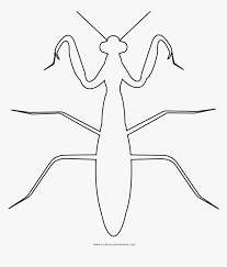 You can search several different ways, depending on what information you have available to enter in the site's search bar. Praying Mantis Coloring Page Grasshopper Hd Png Download Kindpng