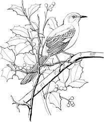 If your child loves interacting. Northern Mockingbird Perched On A Tree Coloring Page From Mockingbird Category Select From 24848 Print Bird Coloring Pages Animal Coloring Pages Bird Drawings
