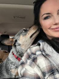 Found a lost Queensland Heeler in Humboldt