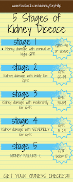 Stage 1 Stage 2 Stage 3 Stage 4 Stage 5 Www Facebook Com Akidneyforphillip 5 Stages Of Kidney Disea With Images Kidney Disease Stages Disease Infographic Kidney Transplant
