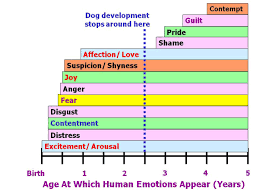 which emotions do dogs actually experience psychology today