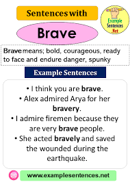Sentences With Brave Definition And Example Sentences Example Sentences Sentence Examples Sentences Brave