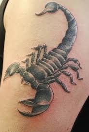 As scorpio has a curved tail, then it looks very nice if placed on a curvy part of your body. Scorpion Tattoo By Vans Tattoonow