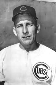 Cubs_an_appreciation