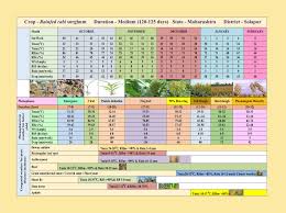 Pdf Crop Weather Calendar Of Rabi Sorghum Dist Solapur Maharashtra