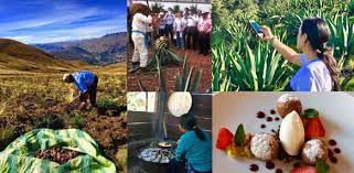 Capacitaciones y talleres para gastronómicos dictados por germán de bonis y su equipo en forma presencial o a distancia. Taller Turismo Gastronomico Inteligente Restaurantes Hoteles Rutas Y Destinos Cegaho Blog