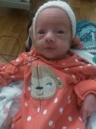 Our baby girl Sarabi just turned 25 weeks and gets more beautiful every day  🥺❤️🐾