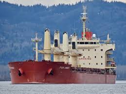 Track with options gives you the tracking result in a frame with access to several tools and the posibility to select other airlines to track with track direct gives you only the tracking results without any options. Pan Amber Bulk Carrier Details And Current Position Imo 9626003 Mmsi 441487000 Vesselfinder