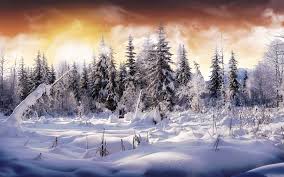 2653 winter hd wallpapers background