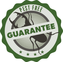 One stop pest services, inc. Alexandria Pest Control Green Pest Services