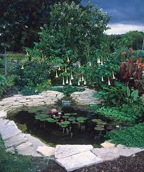 Water gardens early in the day when it's cooler and less windy. Planning Your First Water Garden Finegardening