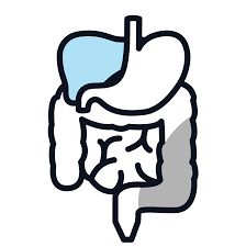 Staging helps describe where a cancer is located, if or where it has spread, and whether it is affecting other parts of the body. Stage 3 Mesothelioma Symptoms And Prognosis