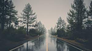 Download or upload live wallpapers. Download Free Rain Wallpapers I M A Pluviophile