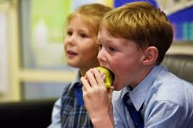 Healthy lunchbox sessions part of school help for Tamworth's kindergarten  parents
