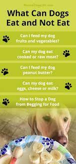 What Can Dogs Eat And Not Eat Can Dogs Eat Dog Eating Peanut Butter For Dogs