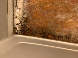 Check spelling or type a new query. Do I Need To Remove Tub To Fix The Subfloor Home Improvement Stack Exchange