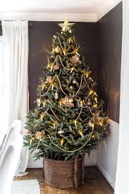 Ultimate Guide To Decorating And Caring For A Real Christmas Tree Real Xmas Trees Real Christmas Tree Christmas Tree Care