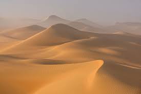 Fog In The Desert