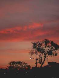 Temas de fotografía educación arte fotografía de personas. Sunsets Fotos Atardecer Fondos Para Fotos Paisajes
