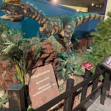 We did not find results for: Photos At Dinosaur Journey Museum 2 Tips