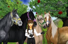 If you get kicked out of the game in this area you may not be able. Star Stable Online What Horse Breed Are You Long Quiz