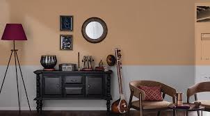 Earthen Wall Colour Combinations For