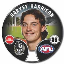 2022 AFL Collingwood