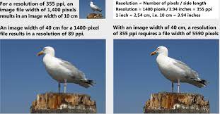 Maybe you would like to learn more about one of these? Pixel Dpi Ppi Picture Size And Resolution