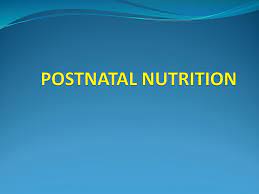 Tambahan gizi ibu menyusui ibu menyusui memerlukan tambahan zat gizi: Prenatal Postnatal Nutrition Ppt Download