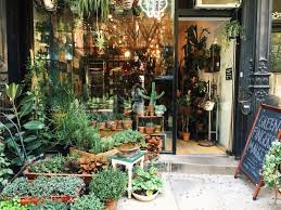 If you wish to contact greenfingersonline you can reach us by phone on 06 81452159 or please email us: Green Fingers Market Nyc Empinneri Vsco Green Plants Nyc