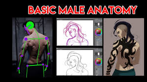 The following 66 files are in this category, out of 66 total. Digital Art Male Anatomy Tutorial Youtube