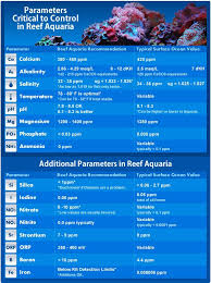 Reef Tank Parameters Saltwater Aquarium Fish Reef