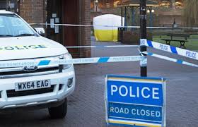Image result for sergei skripal