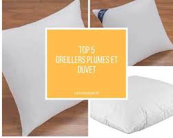 At your doorstep faster than ever. Comparatif Meilleurs Oreillers En Plume Et Duvet Oie Canard 2021