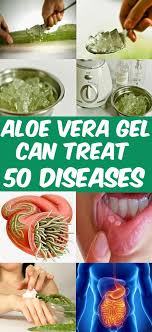 Pin By Veronique Dominicus Van Den Bu On Health Remedies Diy Health Aloe Vera Aloe