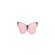 Tumblr Transparent Pinterest Pink Butterfly Pastel Pink Aesthetic Butterfly Wallpaper