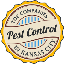 Find pest control services in st petersburg, fl for home & commercial pest control, bug and animal removal, ant control, termite inspections and treatment, animal control and dead animal removal, and more. Top 10 Kansas City Pest Control Companies Exterminator Services