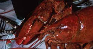 How To Cook Fully Frozen, Whole Lobster In The Microwave