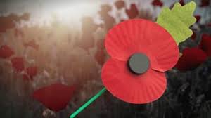 remembrance poppy pin