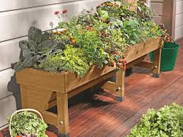 Growing great edibles in containers, raised beds, and small plots , aims to teach us how to grow fresh, healthy foods even if we don't have a lot of room. Container And Small Space Gardening Diy