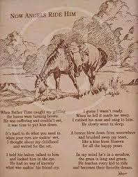 Dead Horse Poem Horse Quotes Horse Poems Horse Riding Quotes