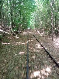 The 10 Best Things To Do In Waren 2020 With Photos Tripadvisor