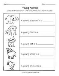 Animals And The Names Of Their Young Ones Worksheets For Preschools Baby Animal Names Kindergarten Activity Sheets Baby Animals