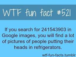 Sep 30, 2019 · napoleon wasn't short? Wtf Fun Facts Wtf Fun Facts Fun Facts Funny Facts