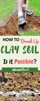 How To Break Up Clay Soil In Garden Clay Soil Soil Improvement Garden Soil