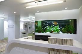 Interior Design Office Aquarium Incredible Fish Tanks Simple Barratt Homes And With 13 Office Aquarium Office Aq Fish Tank Wall Aquarium Design Wall Aquarium
